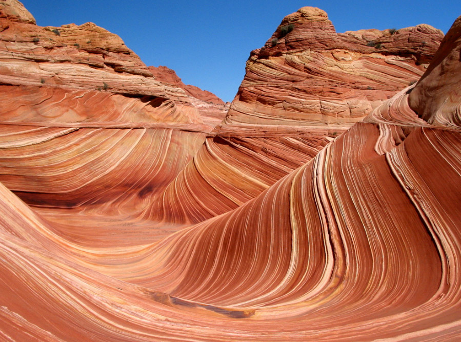 Flagstaff The Wave (Northern Arizona, Arizona) - walking tours