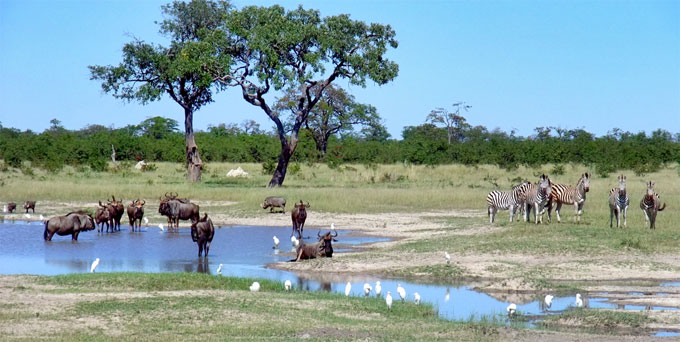 Parco nazionale del Chobe