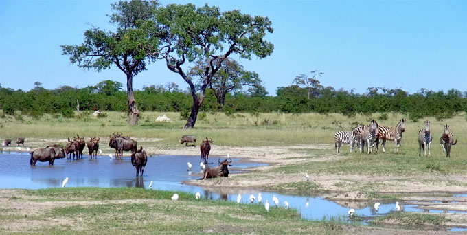 Parc national de Chobe