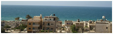 Al Arish