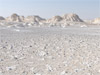 Siwa - Deserto Bianco