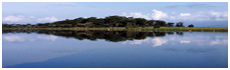 Lake Naivasha