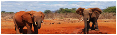 Tsavo East