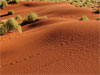 Windhoek - Réserve Naturelle NamibRand