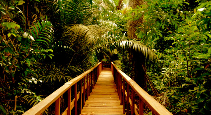 Centre de conservation de Lekki