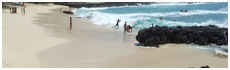 Praia Café