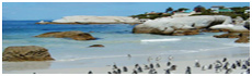 Boulders Beach