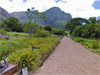 Citt del Capo - Kirstenbosch