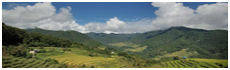 Vallée de Punakha