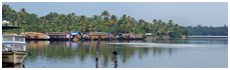 Ashtamudi See