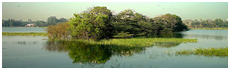 Kukkarahalli lake