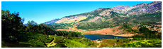 Munnar Valley