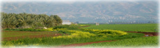 Vallée du Jourdain