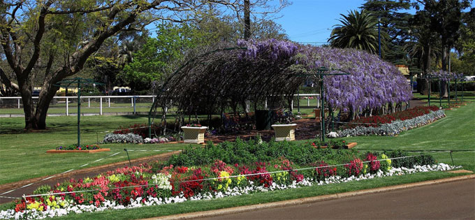 Wisteria Tunnel