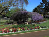 Kitakyushu - Wisteria Tunnel