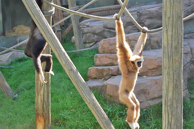 Jardim Zoológico