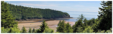 Fundy