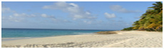 Turtle Cove