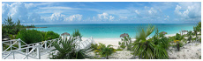 Sammy T's Beach