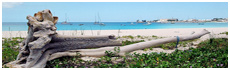 Brownes Beach
