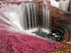 Medellín - Caño Cristales