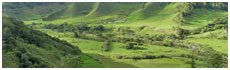 Valle del Cocora