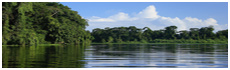 Tortuguero