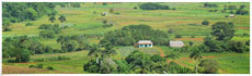 Vallée de Viñales