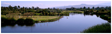 Lac Xochimilco