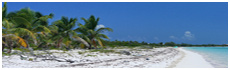 Long Bay