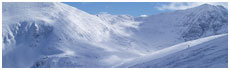 Borovets