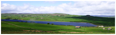 Baldersdale