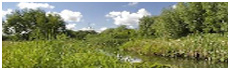 Billingham Beck Valley