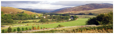 Yarrow Tal