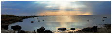 Haapsalu