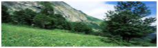 Ossau Valley