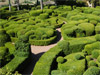 Vzac - Overhanging Gardens of Marqueyssac