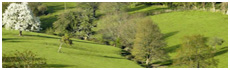 Parc du Perche