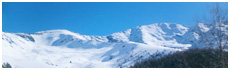 Goulier Neige