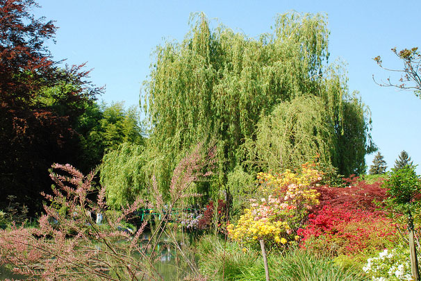 Monets Garten