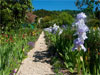 Giverny - Monets Garten