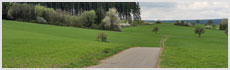 Villingen-Schw.