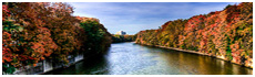 Englischer Garten