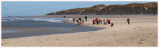 Amrum