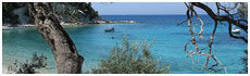 Paxos