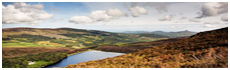 Montagnes de Wicklow