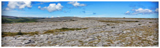 The Burren