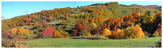 Abruzzo National Park(Aq)