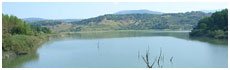 Angitola's Lake(Vv)