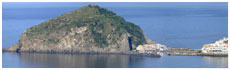 St Angelo From Ischia(Na)